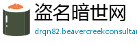 盗名暗世网